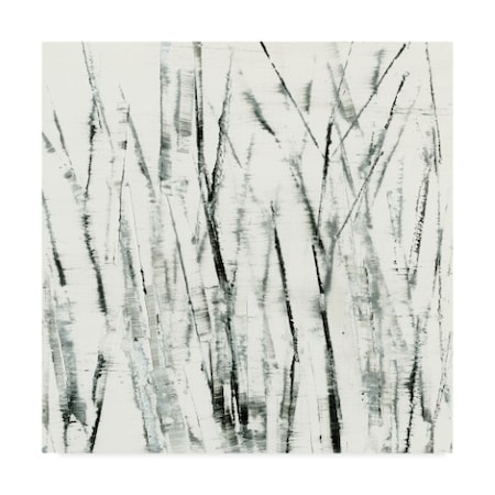 Sharon Gordon 'Birches I' Canvas Art,24x24